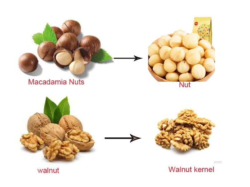 Walnut Dehusking Machine Walnut Dehusking Machine