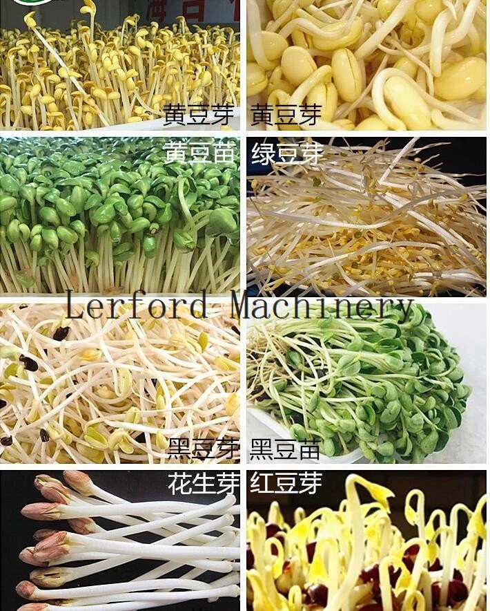 sprouts machine automatic