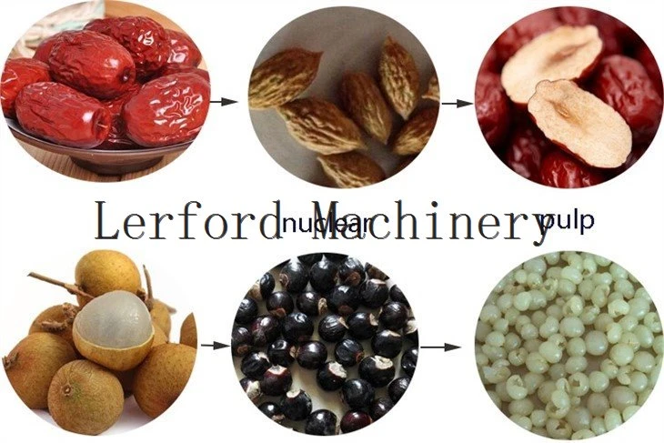 fruit pitting machine
