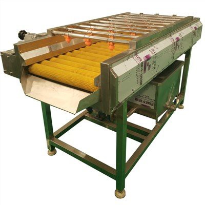 Machine à nettoyage des fruits