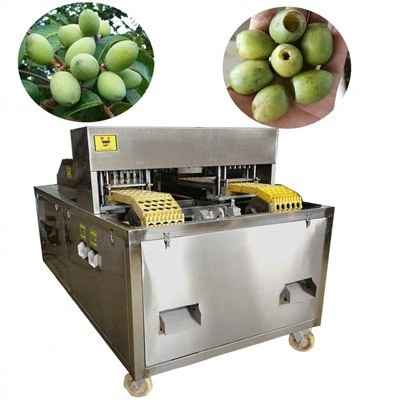 Machine à dénoyauter les olives