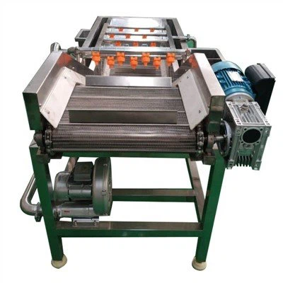 Machine à laver les légumes