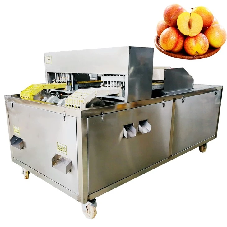 Apricot Kernel Pitting Machine