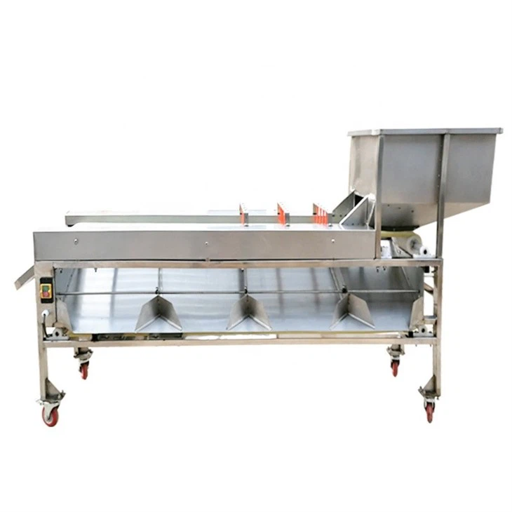 Avocado Grading Machine