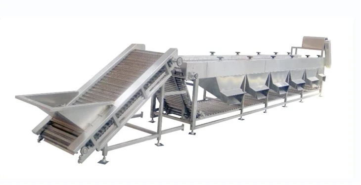 Pomegranate Sorting Grading Machine