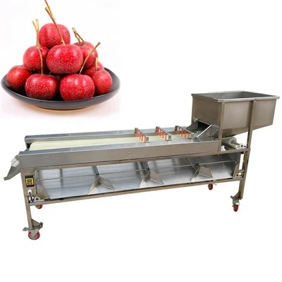 Machine à trier les pommes