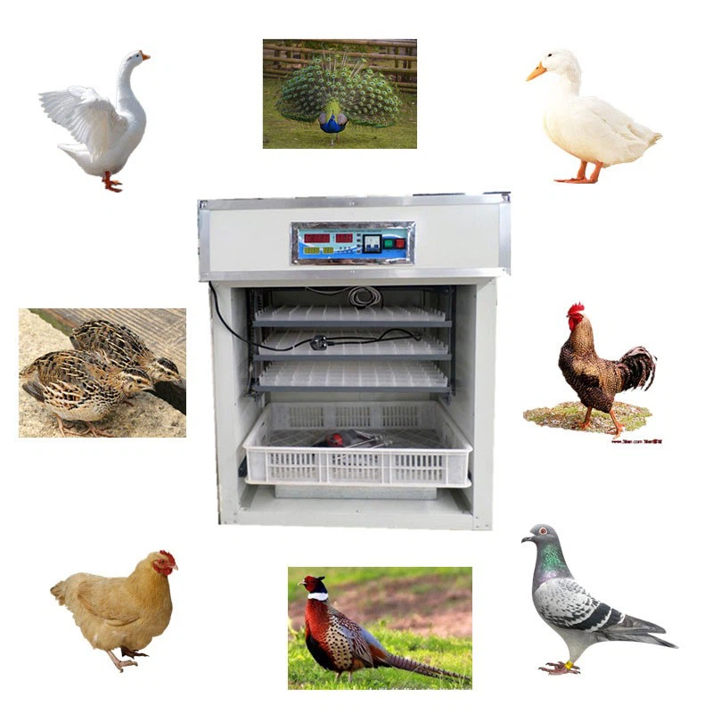 Egg Incubator Machine