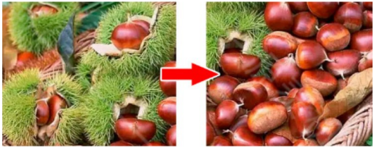 chestnut Peeling Machine chestnut Peeling Machine