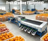 Équipement de classement des fruits
